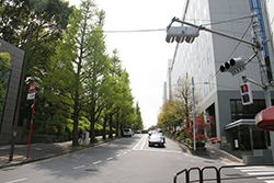 紀尾井坂（2011年春）